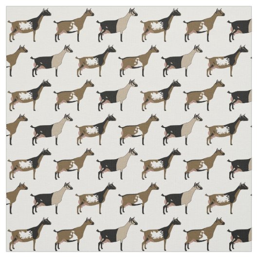 Nigerian Dwarf Dairy Goats on White Stof (Swatch)
