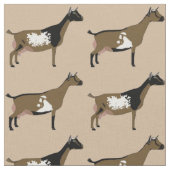 Nigerian Dwarf Dairy Goats Stof (Close Up)