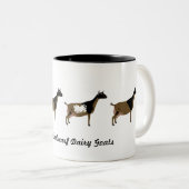 Nigerian Dwarf Dairy Goats Tweekleurige Koffiemok (Voorkant rechts)