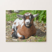 Nigerian Dwarf Goat Kind Legpuzzel (Horizontaal)