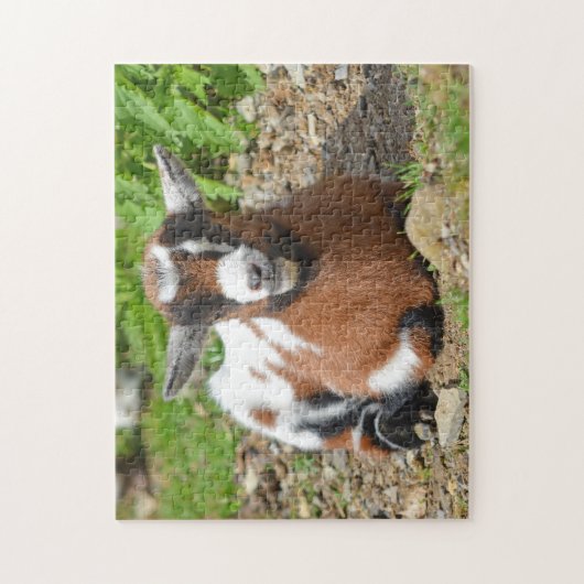 Nigerian Dwarf Goat Kind Legpuzzel (Verticaal)
