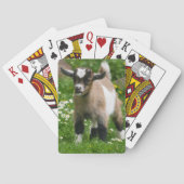 Nigerian Dwarf Goat Kind Pokerkaarten (Achterkant)