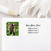 Nigerian Dwarf Goat Kind Return Address Label (Insitu)