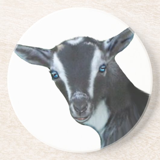 Nigerian Dwarf Goat Sandstone Onderzetter (Voorkant)
