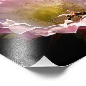 Night Bloom en Bee Foto Afdruk (Hoek)