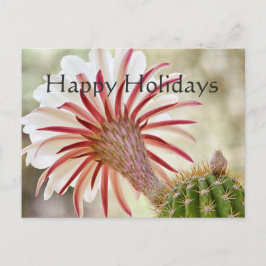 Night Bloomer, fijne feestdagen