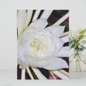 Night Blooming Flowers (Staand voorkant)