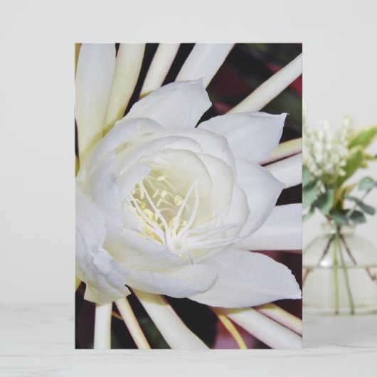 Night Blooming Flowers (Staand voorkant)