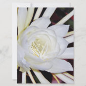 Night Blooming Flowers (Voorkant)