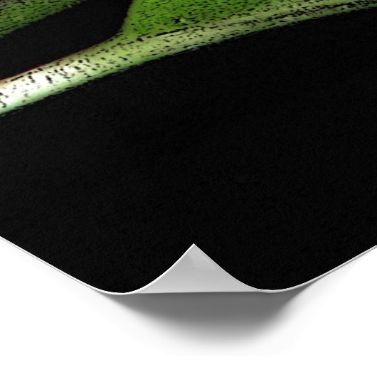 Night Blooming Jasmine Poster (Hoek)