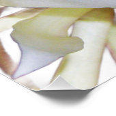 Night Blooming Staghorn Fern Perfect Poster (Hoek)