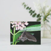 Night Butterfly Black Swallowtail bij Shenandoah Briefkaart (Staand voorkant)