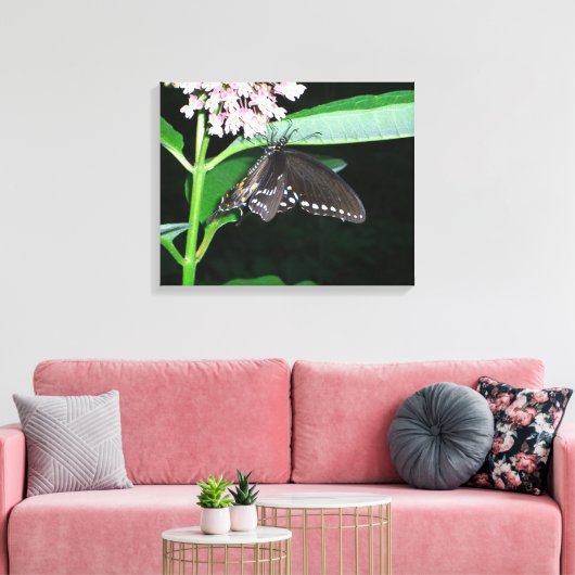 Night Butterfly Black Swallowtail bij Shenandoah Canvas Afdruk (Insitu (Woonkamer))