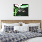 Night Butterfly Black Swallowtail bij Shenandoah Canvas Afdruk (Insitu (Slaapkamer))