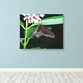 Night Butterfly Black Swallowtail bij Shenandoah Canvas Afdruk (Insitu (Houten vloer))