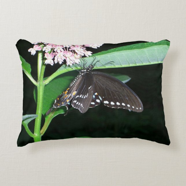 Night Butterfly Black Swallowtail bij Shenandoah Decoratief Kussen (Voorkant)
