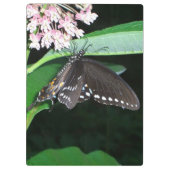 Night Butterfly Black Swallowtail bij Shenandoah Klembord (Achterkant)