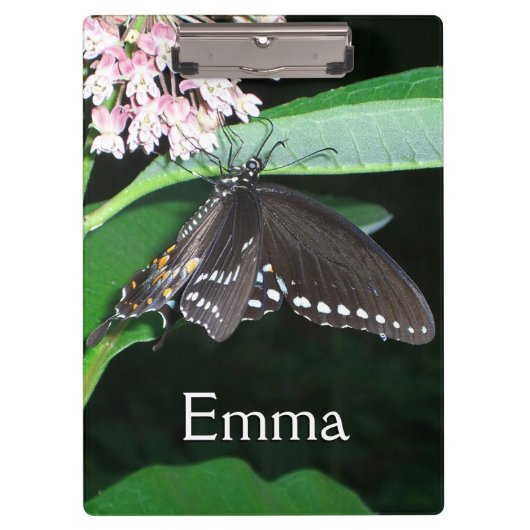 Night Butterfly Black Swallowtail bij Shenandoah Klembord (Voorkant)