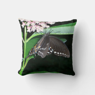 Night Butterfly Black Swallowtail bij Shenandoah Kussen