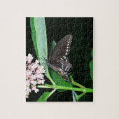 Night Butterfly Black Swallowtail bij Shenandoah Legpuzzel (Verticaal)