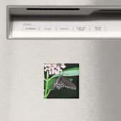 Night Butterfly Black Swallowtail bij Shenandoah Magneet (Insitu (Vaatwasser))