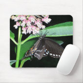 Night Butterfly Black Swallowtail bij Shenandoah Muismat (Met muis)