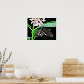 Night Butterfly Black Swallowtail bij Shenandoah Poster (Keuken)