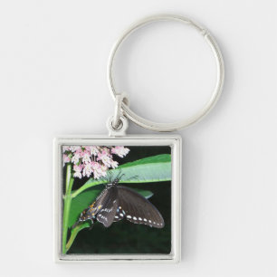 Night Butterfly Black Swallowtail bij Shenandoah Sleutelhanger