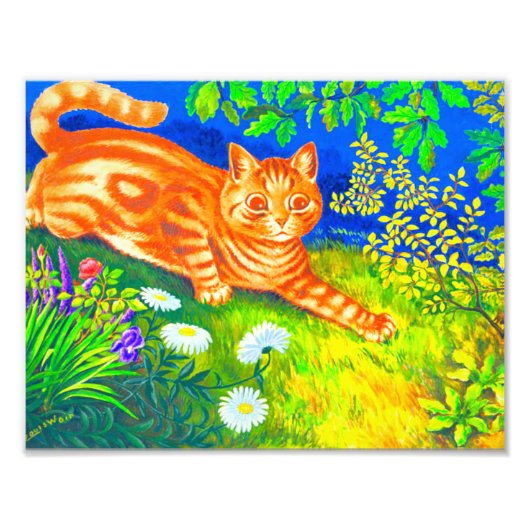 Night Cat Foto Afdruk (Voorkant)