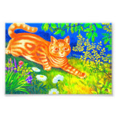 Night Cat Foto Afdruk (Voorkant)