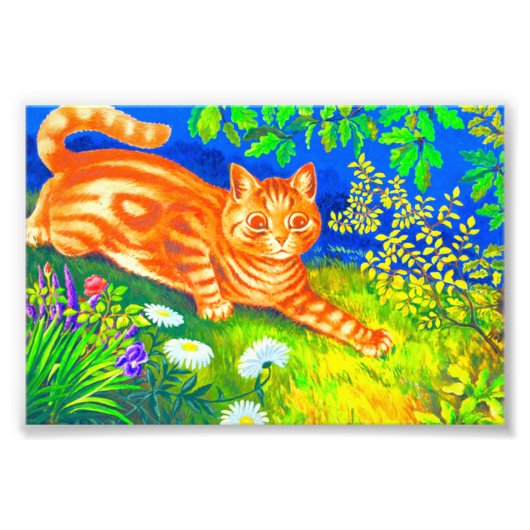 Night Cat Foto Afdruk (Voorkant)