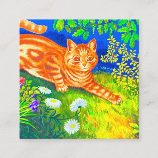 Night Cat Informatiekaartje (Voorkant)