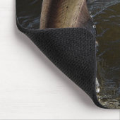 Night Channel Catfish Gevist Muismat (Hoek)