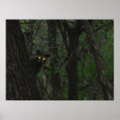 Night Eyes Poster (Voorkant)