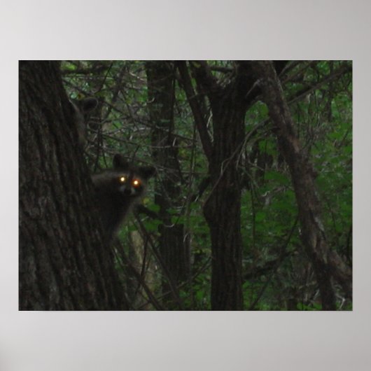 Night Eyes Poster (Voorkant)