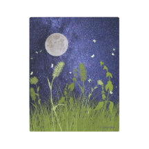 "Night Flight in White"