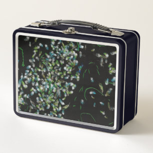 Night Flight Metal Lunchbox