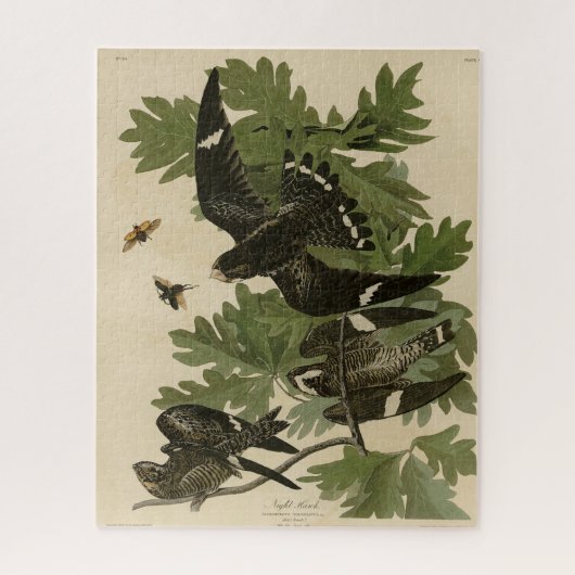 Night Hawk - John James Audubon's vogels in Amerik Legpuzzel (Verticaal)