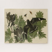 Night Hawk - John James Audubon's vogels in Amerik Legpuzzel (Horizontaal)