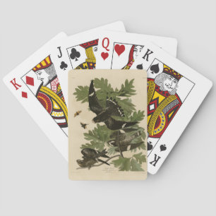 Night Hawk - John James Audubon's vogels in Amerik Pokerkaarten
