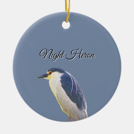 Night Heron Bird Ornament (Voorkant)