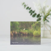 Night Heron Foto Briefkaart (Staand voorkant)