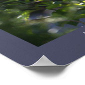 Night Heron Foto Poster (Hoek)