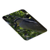 Night Heron-fotomagneet Magneet (Rechterzijde)