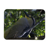 Night Heron-fotomagneet Magneet (Horizontaal)