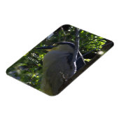 Night Heron-fotomagneet Magneet (Linkerzijde)