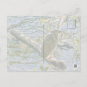 Night Heron jv Briefkaart (Achterkant)
