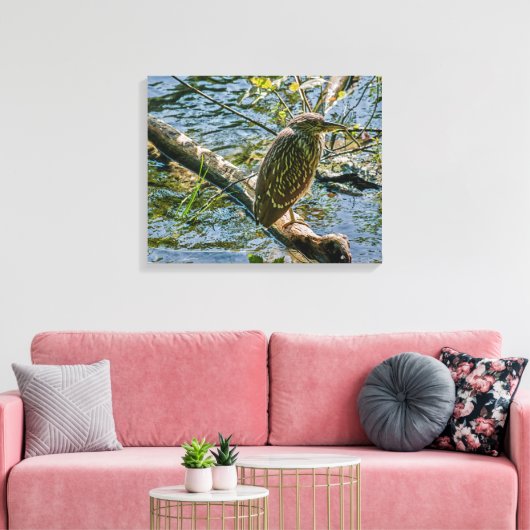 Night Heron jv Canvas Afdruk (Insitu (Woonkamer))