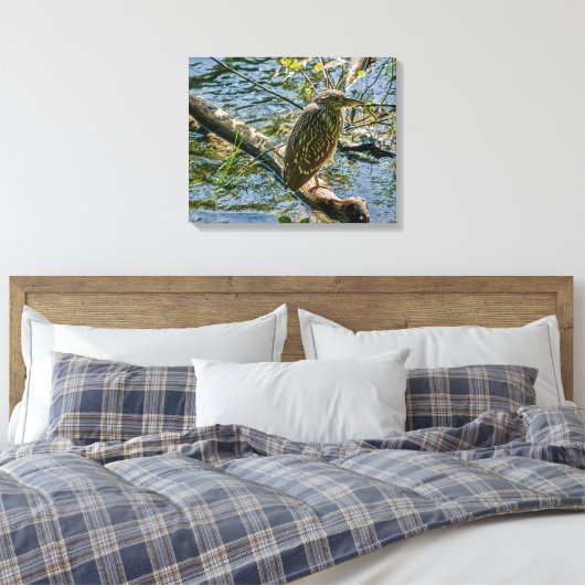 Night Heron jv Canvas Afdruk (Insitu (Slaapkamer))