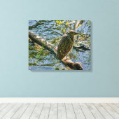 Night Heron jv Canvas Afdruk (Insitu (Houten vloer))